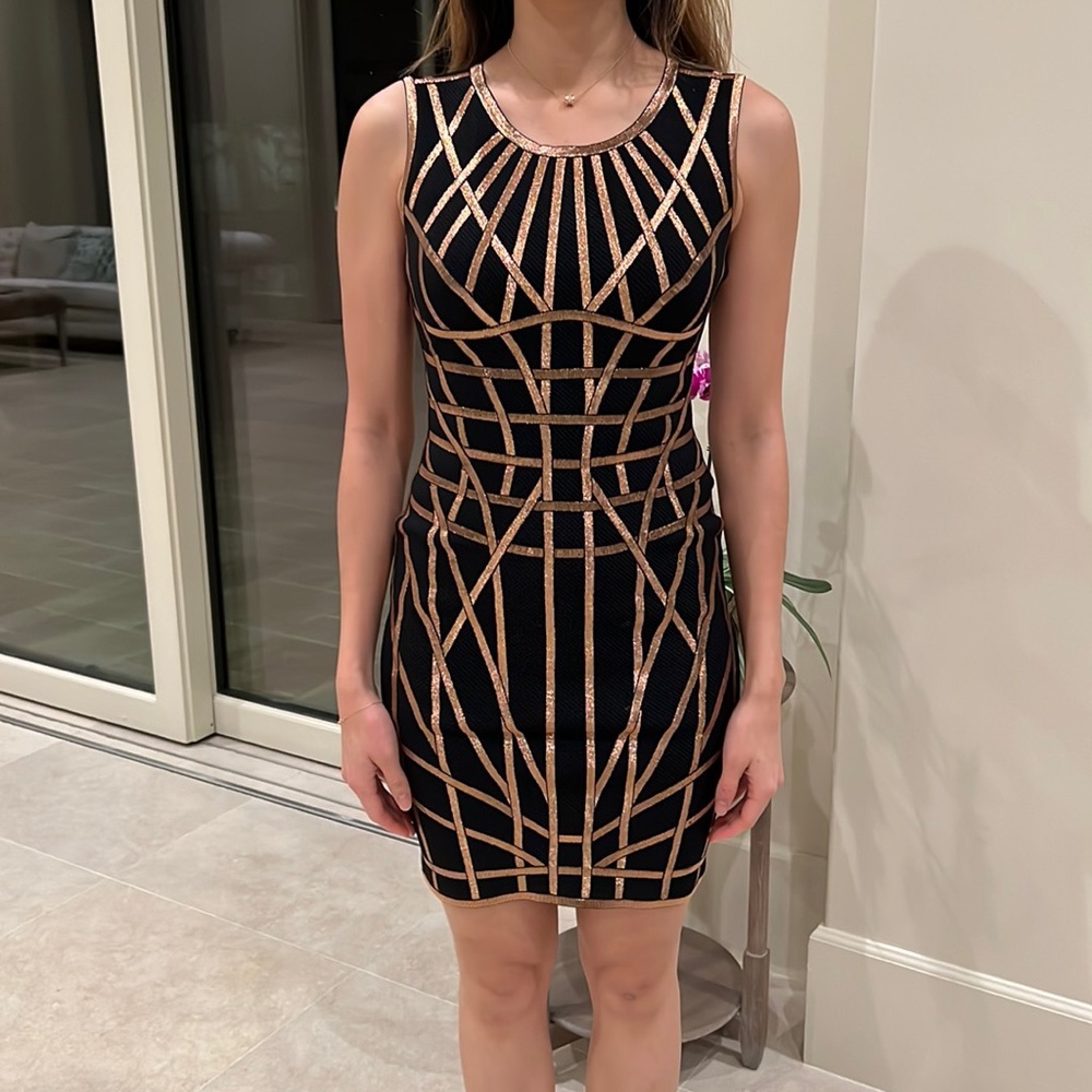 Herve Leger Dress